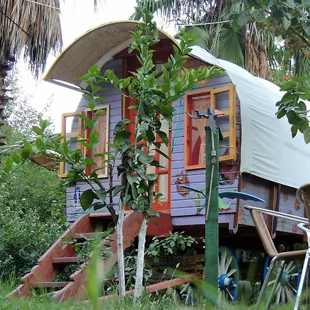Camping Aylak Yasam Kamp *