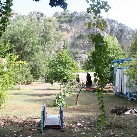 Camping Aylak Yasam Kamp *
