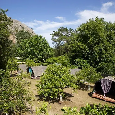Aylak Yasam Kamp Camping *
