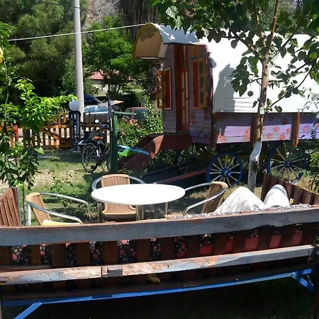 Camping Aylak Yasam Kamp *