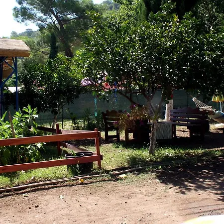 Aylak Yasam Kamp Camping *