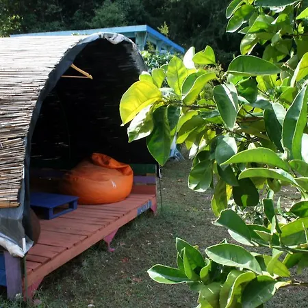 Aylak Yasam Kamp Campsite