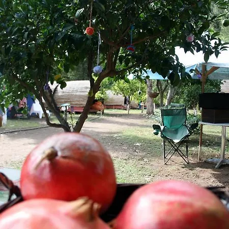 Aylak Yasam Kamp Campingplads Tekirova